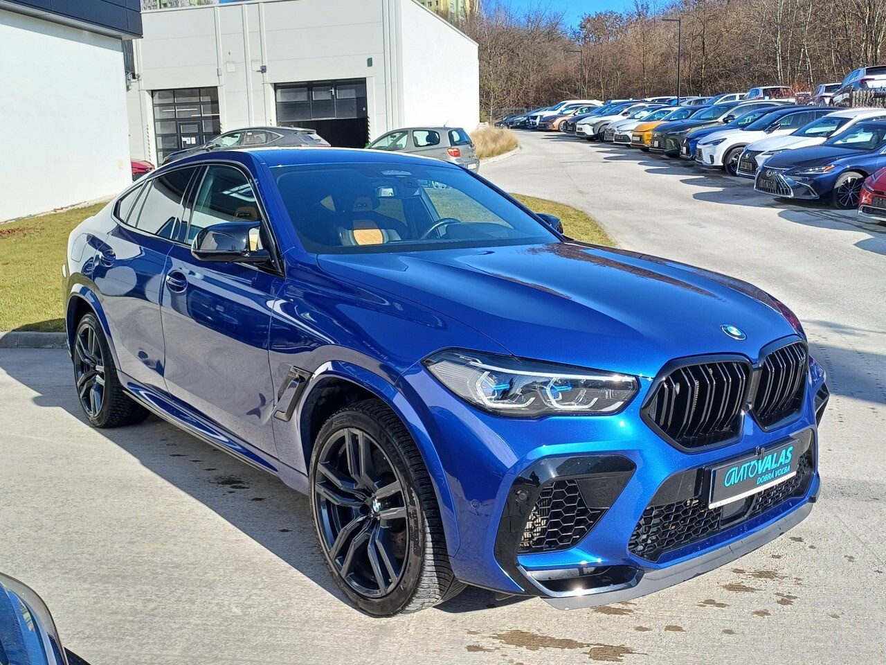 BMW X6 M