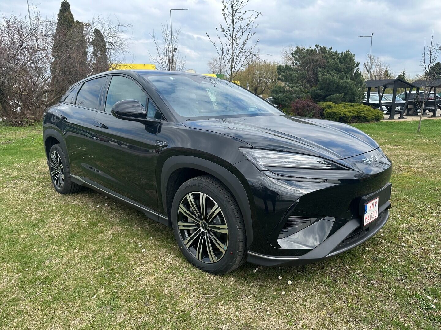 BYD Iné
