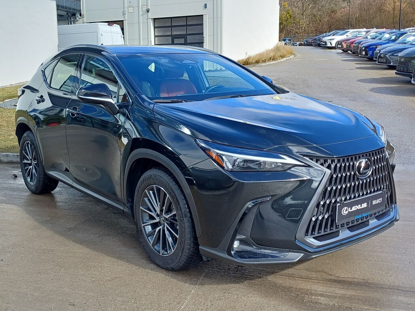 Lexus NX