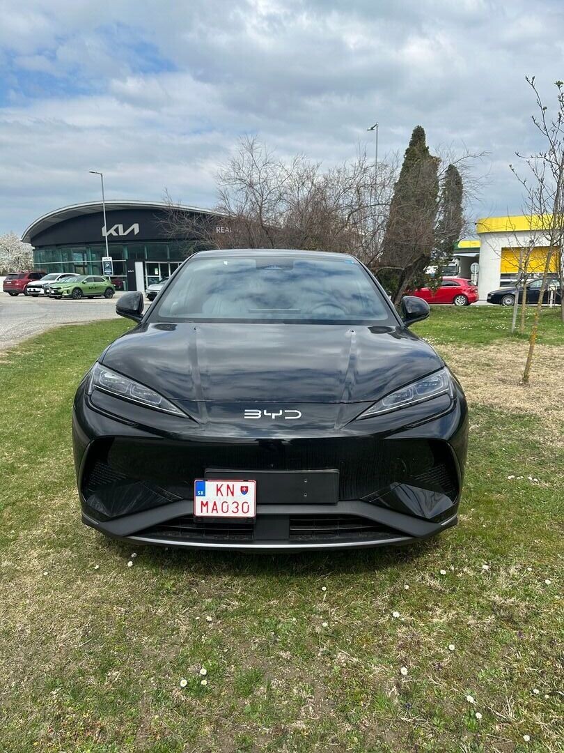 BYD Iné