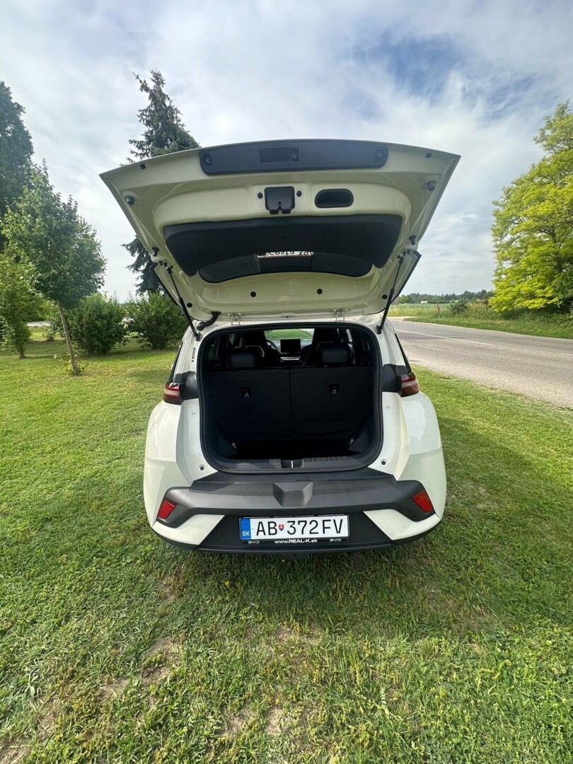 BYD Dolphin