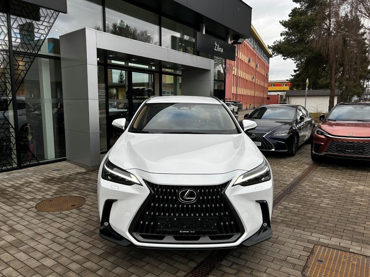 Lexus NX