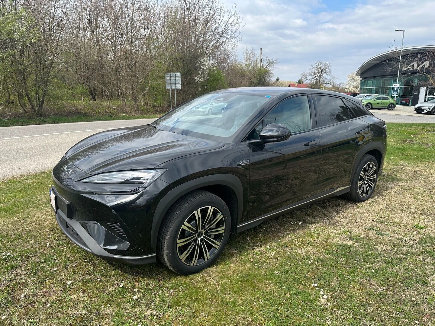 BYD Iné