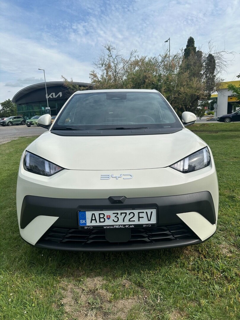 BYD Dolphin